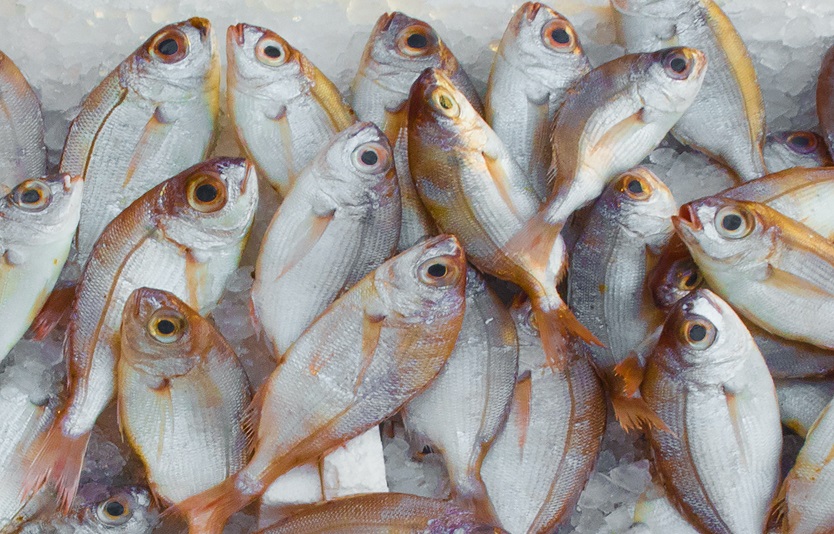 Pescado Omega-3 ácidos grasos mariscos keto