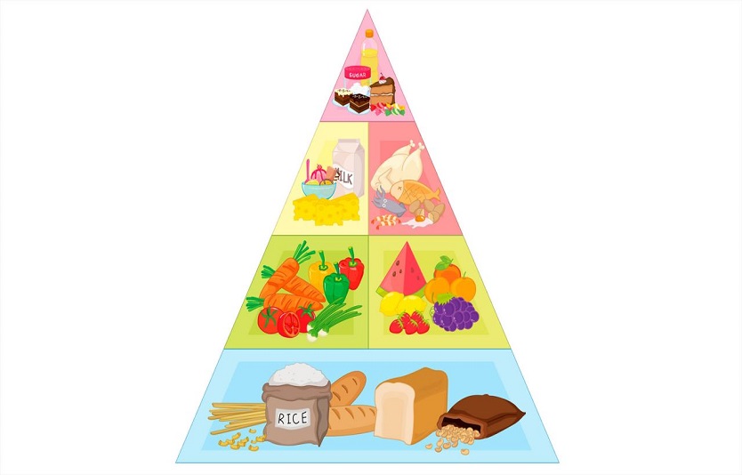 Pirámide alimenticia nutricional mitos de alimentación